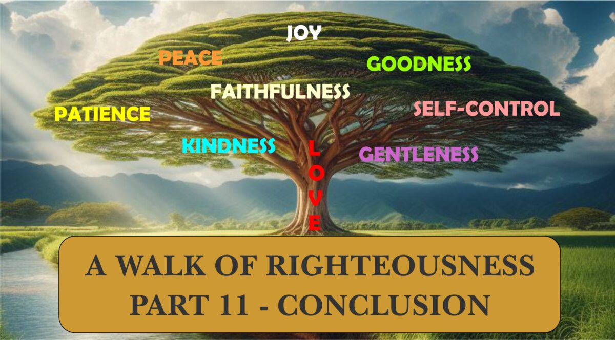 Conclusion - video cover